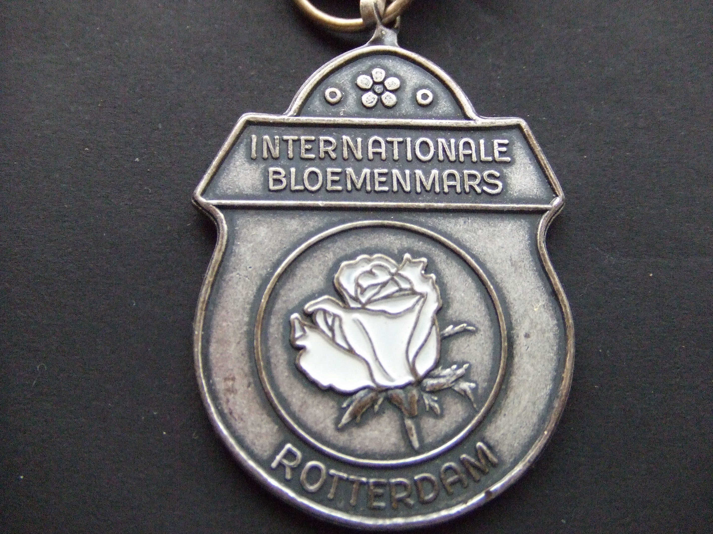 Internationale Bloemenmars Rotterdam ( roos)